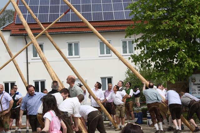 Maibaum 2013